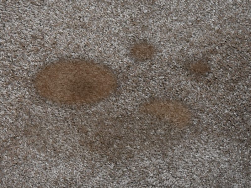 Carpet with heavy traffic soil and staining before cleaning